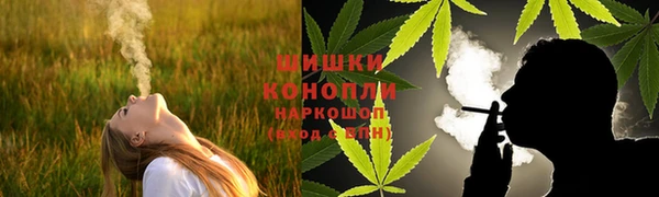 PSILOCYBIN Балабаново
