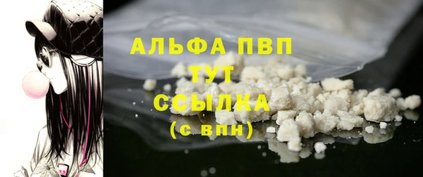 PSILOCYBIN Балабаново