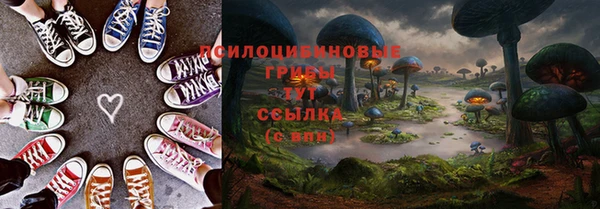 кокс Баксан