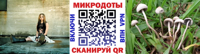 Галлюциногенные грибы GOLDEN TEACHER Урай